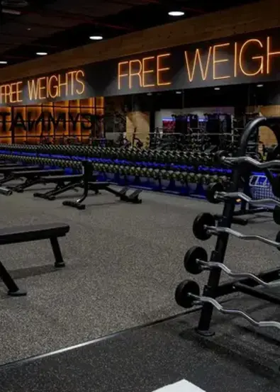free weights areas