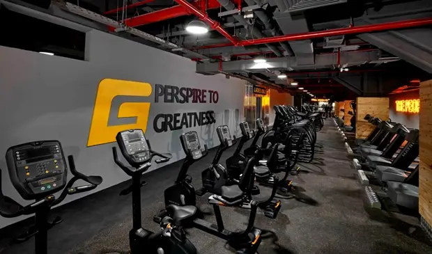 Wellfit Gym Uae