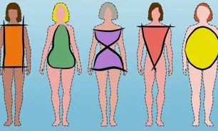 GNWomen body shapes