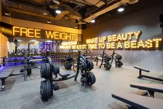 Gymnation Mega Mall Mens