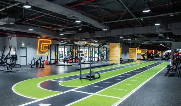 Wellfit Mind And Body