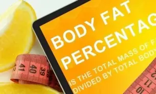 GNBODY FAT PERCENTAGE CALCULATOR