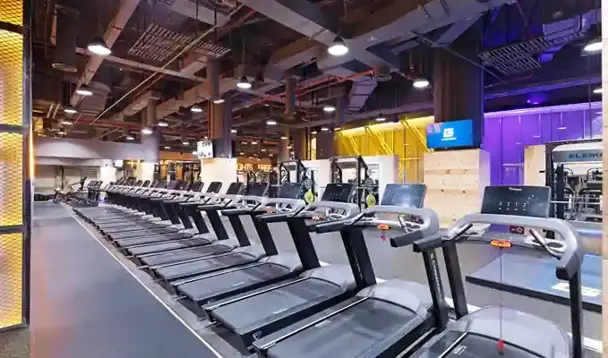 Gymnation Reem Island Cardio Zone
