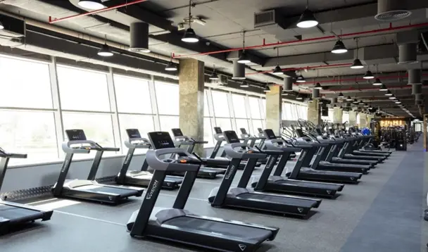 Gym treadmills equipped for cardio workouts and running exercises.