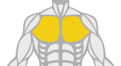 Exercise Library Chest