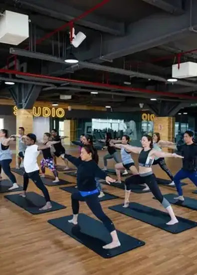 yoga classes at gymnation