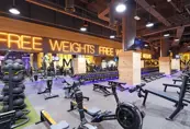 Gymnation Reem Island Free Weights Zone