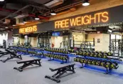Gym free weight room equipped with dumbbells, barbells, and many more weightlifting equipments.