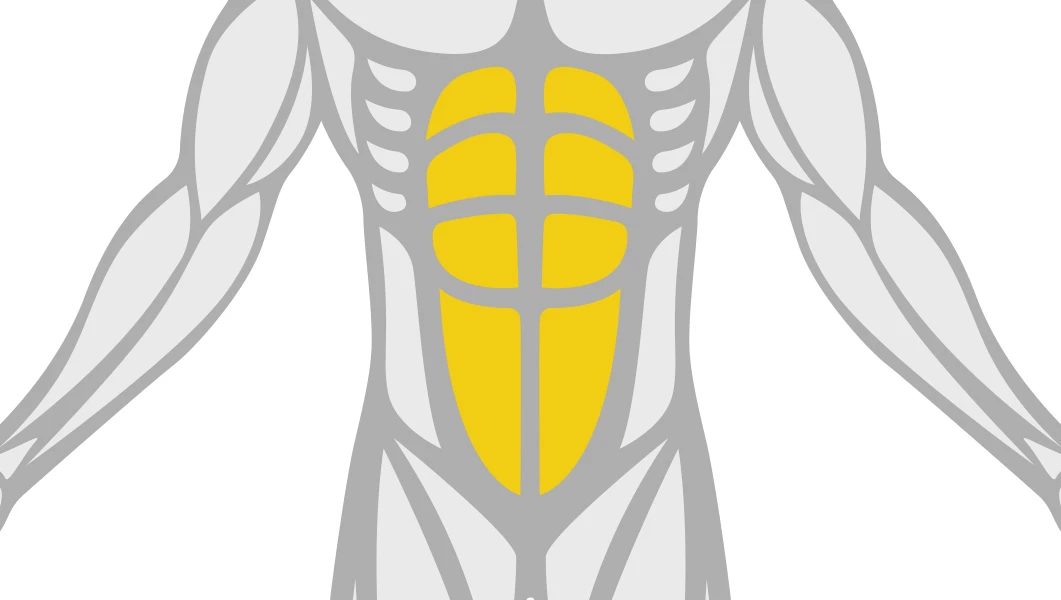 Exercise Library Abs