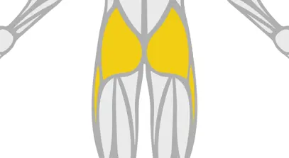 Exercise Library Glutes