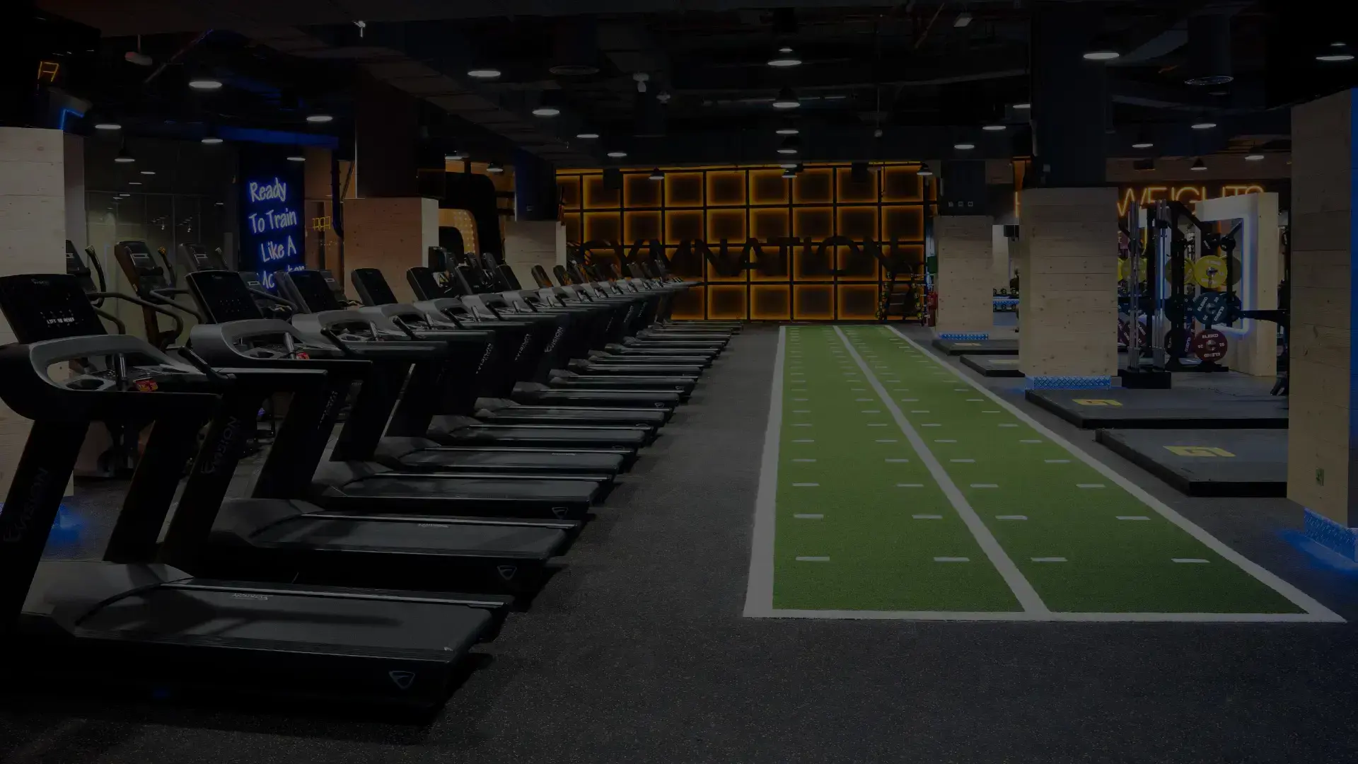 Gymnation Exercise
