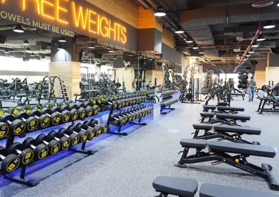 Gymnation Motor City (2)