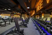 Gymnation Free Wight Area