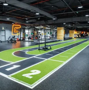 Gymnation Track
