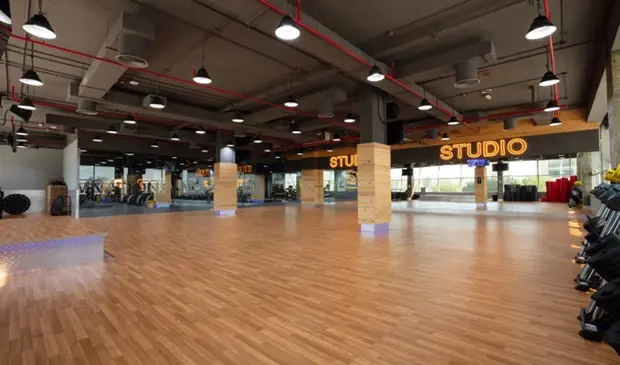 Studio Mc (1)