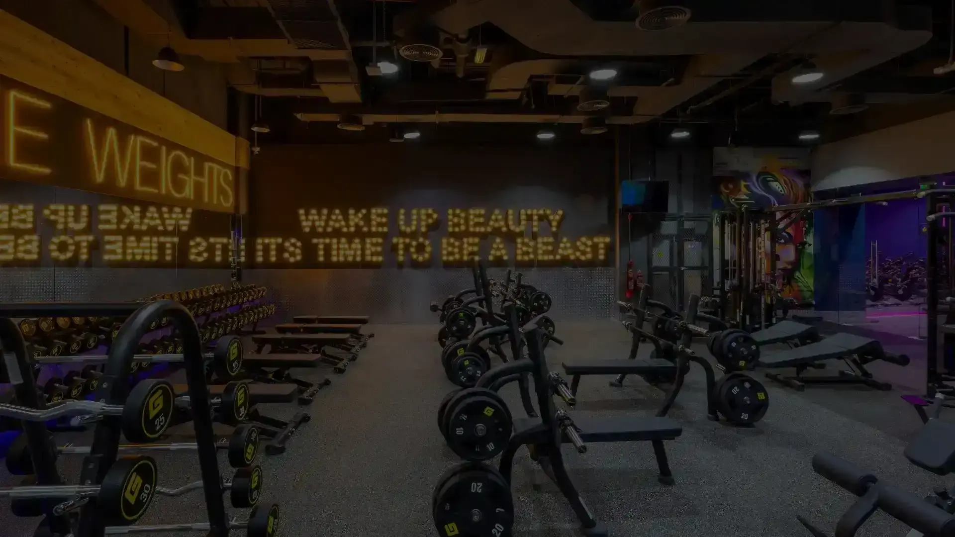 Gymnation Exercise